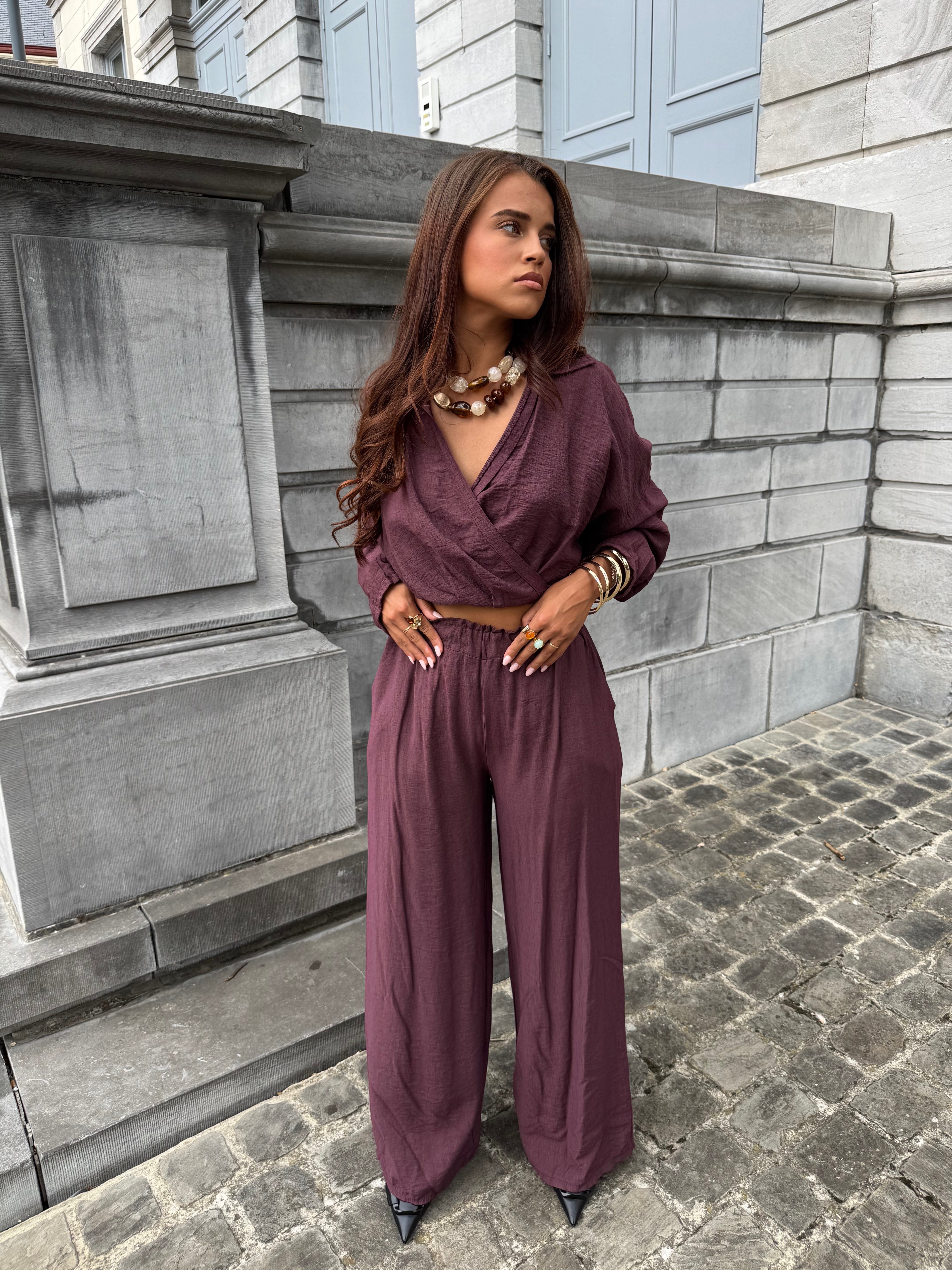 Ensemble Shani prune