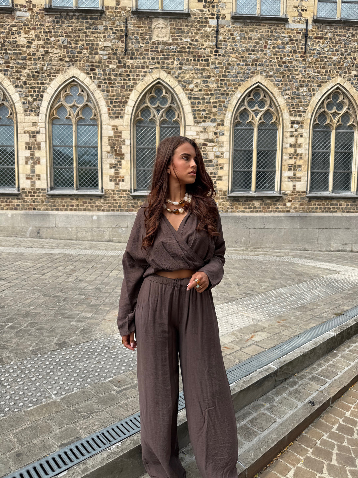 Ensemble Shani brun