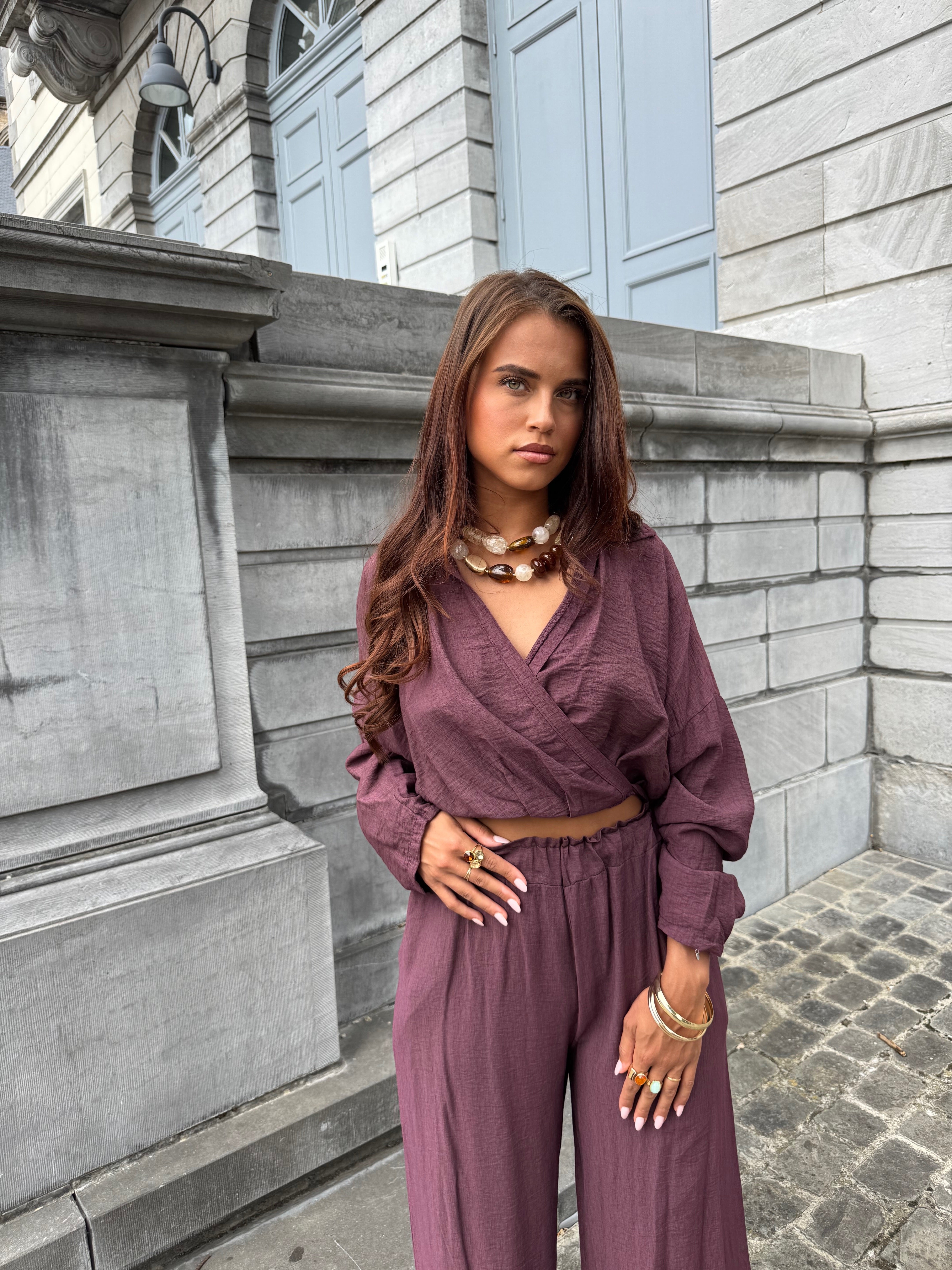 Ensemble Shani prune